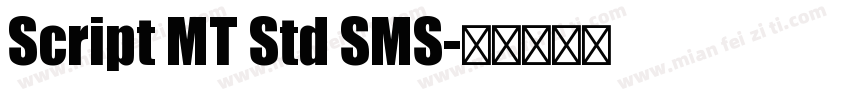 Script MT Std SMS字体转换